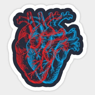 3D Human Heart Sticker